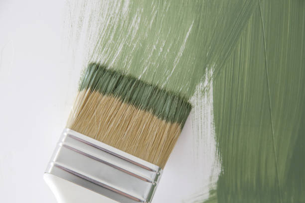 Best Black Mold Removal  in Shadow Lake, WA