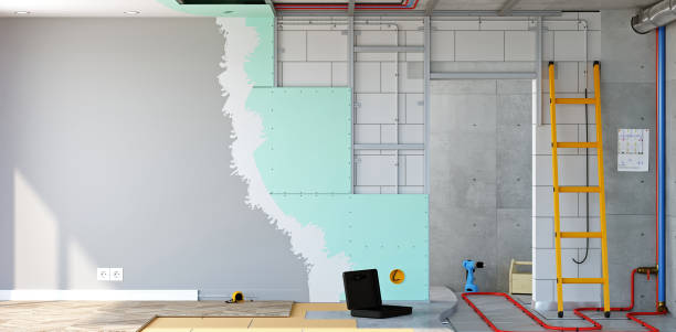 Shadow Lake, WA Mold Removal Company